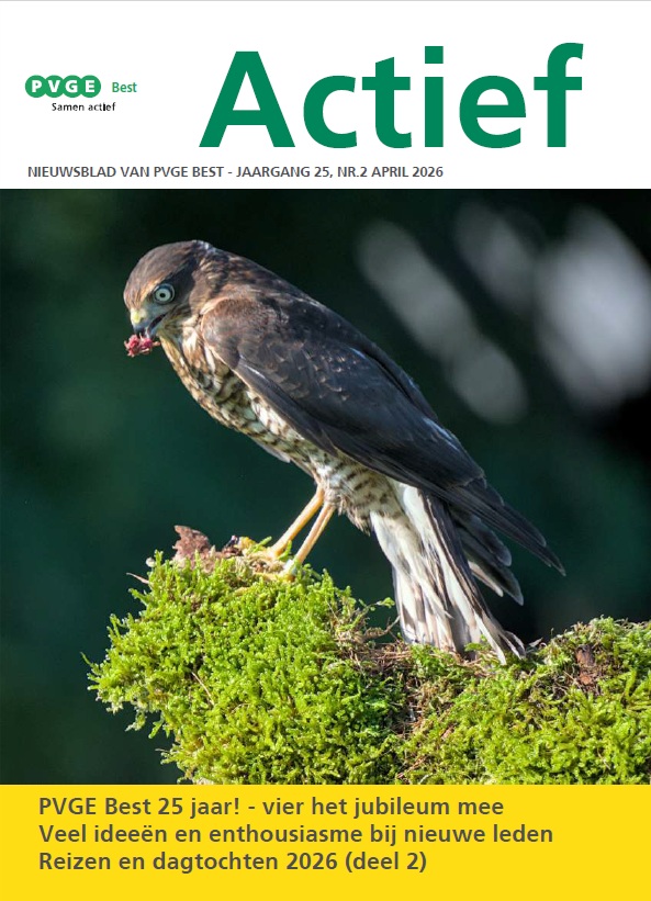 Cover_Actief_april_2026.jpg