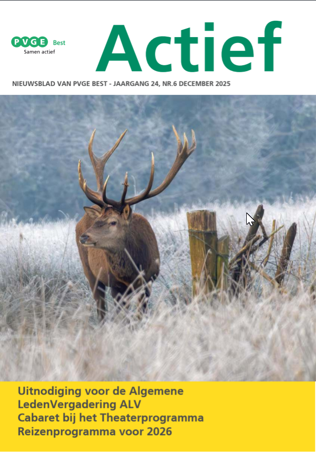 2025-6_Actief_december.png