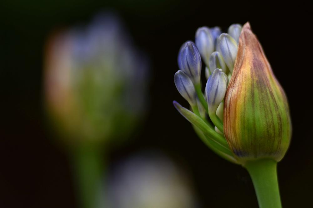 Fotoclub Perspectief zoekt nieuwe leden.