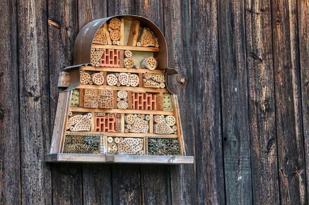 Reisbestemmingen komend voorjaar bekend